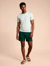 Ladda in bilden i gallerivisningen, Model Front: Uv Line T-Shirts Für Herren T-Shirt Uvpro Masc Light Green Upf50+
